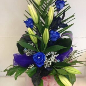 Cool Blue &pound;30.00